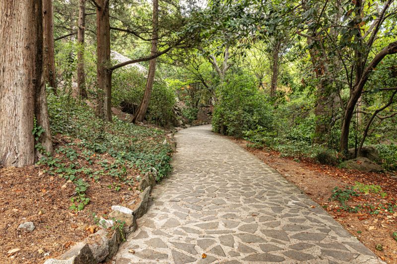 Stone Walkway Repair in Carlsbad, CA