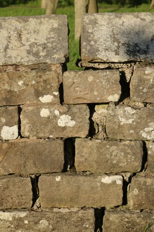 Stone Wall Repair in Escondido, CA